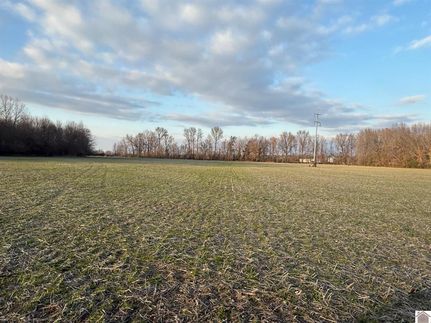 Farm and Ranch for sale in Graves County, Kentucky