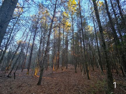 Land for sale in DeKalb County, Alabama