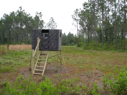 Land for sale in Clinch County, Georgia