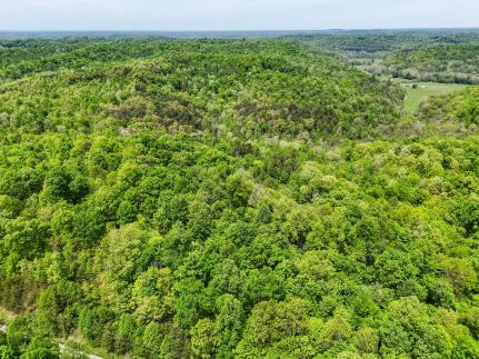 Timberland Property for sale in Gallia County, Ohio