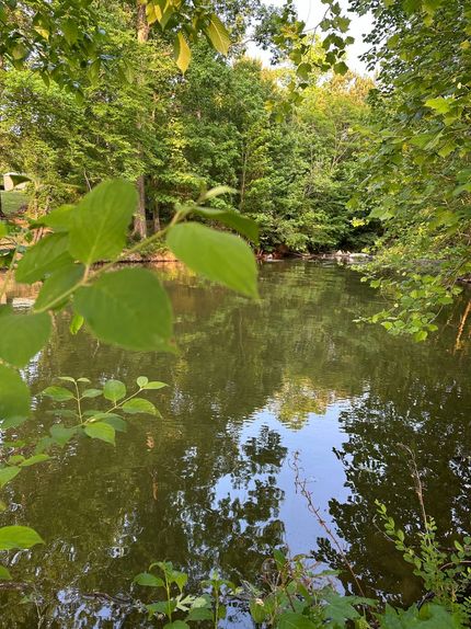 Land for sale in Cherokee County, Alabama