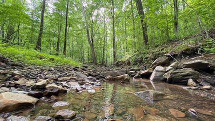 Land for sale in Dade County, Georgia