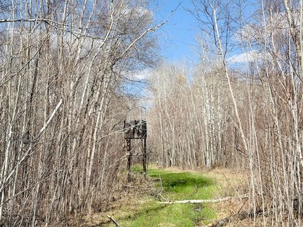 Farm and Ranch for sale in Aitkin County, Minnesota