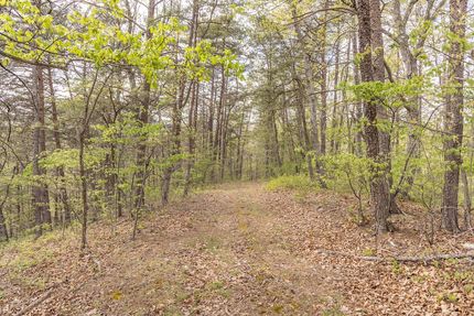 Land for sale in Alleghany County, Virginia