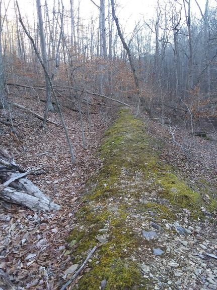 Timberland Property in Warren County, Virginia