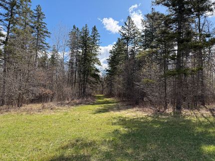 Farm and Ranch for sale in Crow Wing County, Minnesota