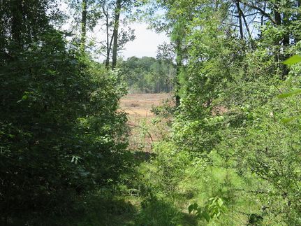 Timberland Property for sale in Clarke County, Mississippi