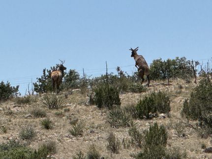 Farm and Ranch for sale in Otero County, New Mexico