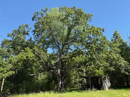 Recreational Property for sale in Claiborne County, Mississippi