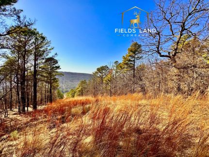 Land for sale in Latimer County, Oklahoma