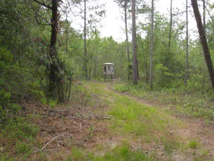 Land for sale in Lanier County, Georgia