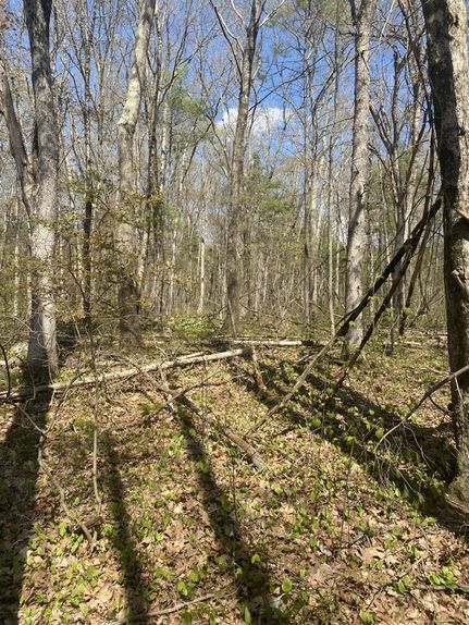 Recreational Property for sale in Hampshire County, Massachusetts
