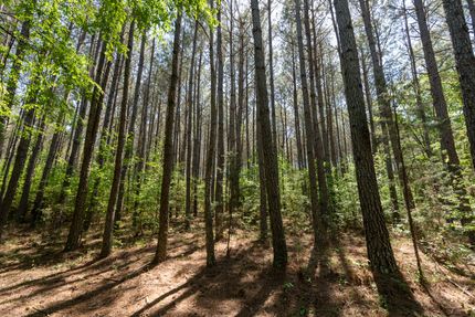 Land for sale in Elbert County, Georgia