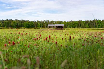 Recreational Property for sale in Panola County, Texas