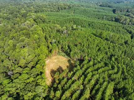 Farm and Ranch for sale in Copiah County, Mississippi