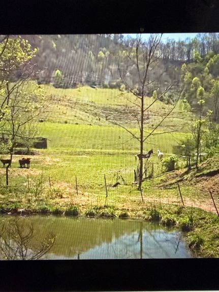 Farm and Ranch for sale in Hancock County, Tennessee