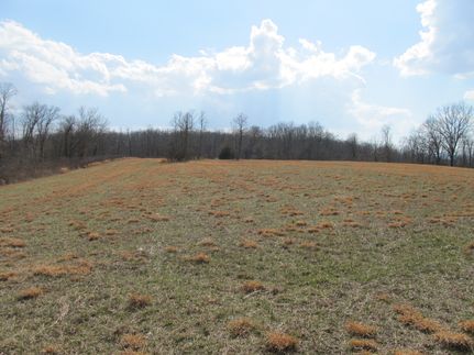 Land for sale in Madison County, Arkansas