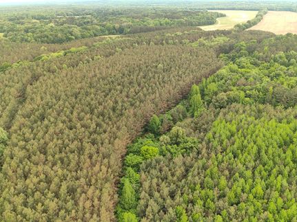 Farm and Ranch for sale in Marshall County, Mississippi