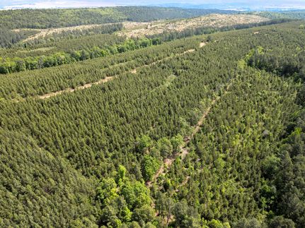 Land for sale in Perry County, Arkansas