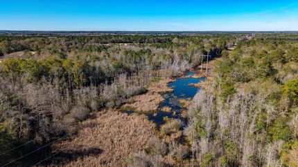 Land for sale in Geneva County, Alabama