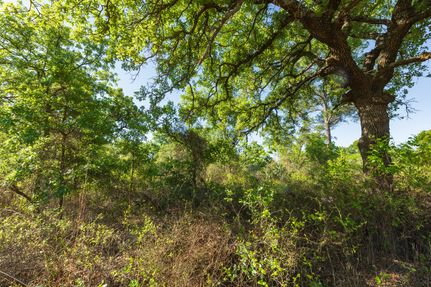 Timberland Property for sale in Jones County, Texas