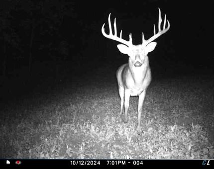 Farm and Ranch for sale in Edgar County, Illinois