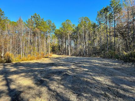 Timberland Property for sale in Elmore County, Alabama