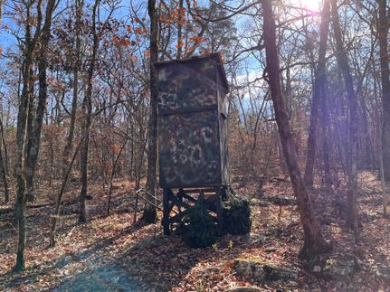 Land for sale in Madison County, Alabama