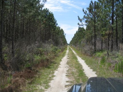 Hunting Property for sale in Clinch County, Georgia