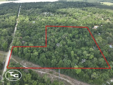 Undeveloped Land for sale in Suwannee County, Florida