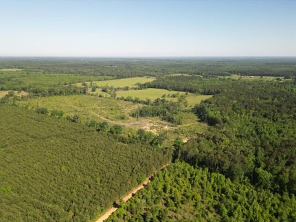 Timberland Property for sale in Cass County, Texas