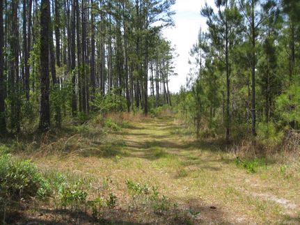 Land for sale in Lowndes County, Georgia