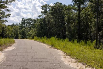 Undeveloped Land for sale in Jackson County, Florida