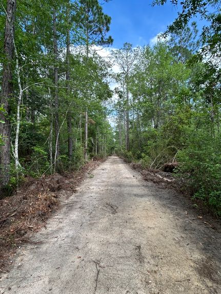 Land for sale in Geneva County, Alabama