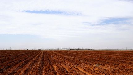 Land for sale in Yoakum County, Texas