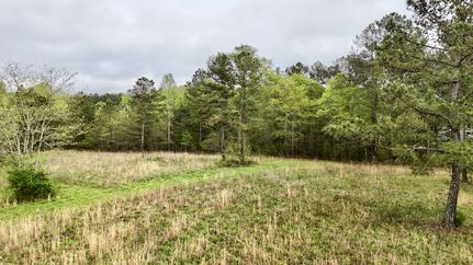 Recreational Property for sale in Carroll County, Georgia