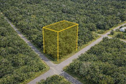 Timberland Property for sale in Levy County, Florida