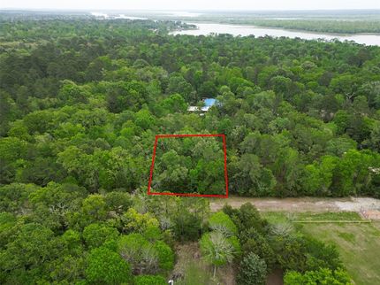 Undeveloped Land for sale in Trinity County, Texas