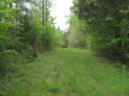 Land for sale in Amelia County, Virginia