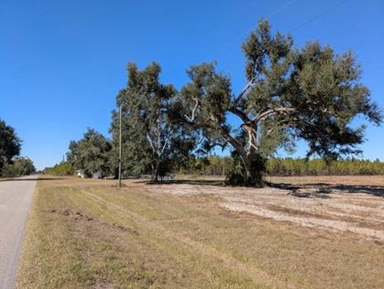 Farm and Ranch for sale in Lafayette County, Florida