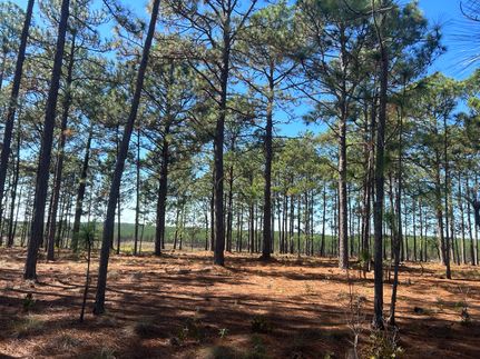 Recreational Property for sale in Chesterfield County, South Carolina