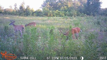 Land for sale in Bowie County, Texas
