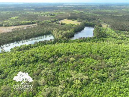 Recreational Property for sale in McIntosh County, Georgia