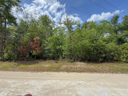 Land for sale in Suwannee County, Florida