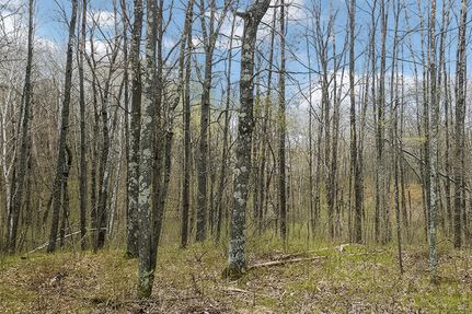 Recreational Property in Washburn County, Wisconsin
