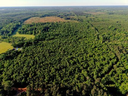 Land for sale in Nevada County, Arkansas