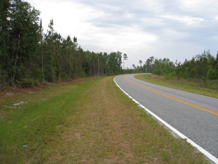 Land for sale in Echols County, Georgia
