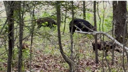 Farm and Ranch for sale in Miller County, Arkansas