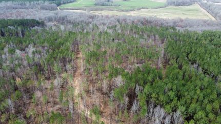 Timberland Property for sale in Lamar County, Alabama
