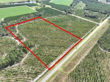 Timberland Property for sale in Ware County, Georgia